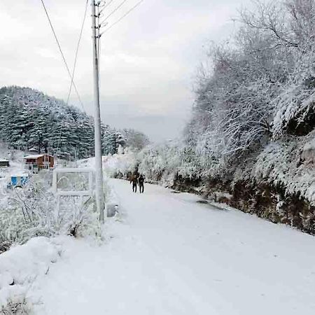 La Riqueza Kanatal - Mountain View Rooms - Welcome New Year With Fresh Snowfall Buitenkant foto