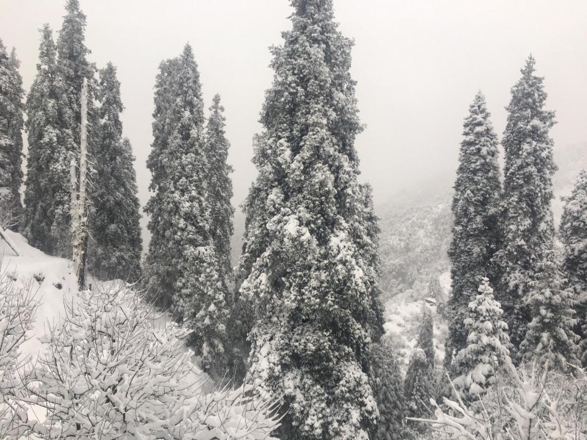 La Riqueza Kanatal - Mountain View Rooms - Welcome New Year With Fresh Snowfall Buitenkant foto